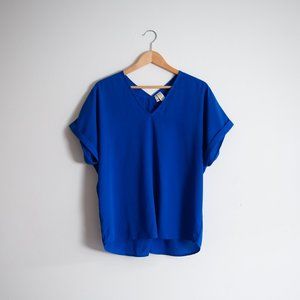 Japna Women's Blue Blouse